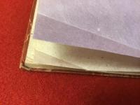 たけくらべ 鑑賞本（別冊「たけくらべ」解題付き）