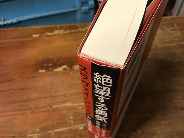 【中古】絶望する勇気 ?グローバル資本主義・原理主義・ポピュリズム? 絶望する勇気 : グローバル資本主義・原理主義・ポピュリズム