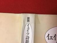 図説イェイツ詩辞典