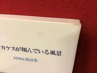 海でカケスが翔んでいる風景　河崎征俊詩集