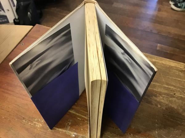 静かな水 : 正木ゆう子句集(正木ゆう子 著) / 古本、中古本、古書籍の