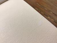 赤い曼陀羅華をみたのはその刻であった