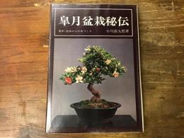 皐月盆栽秘伝 : 若木・古木からの木づくり