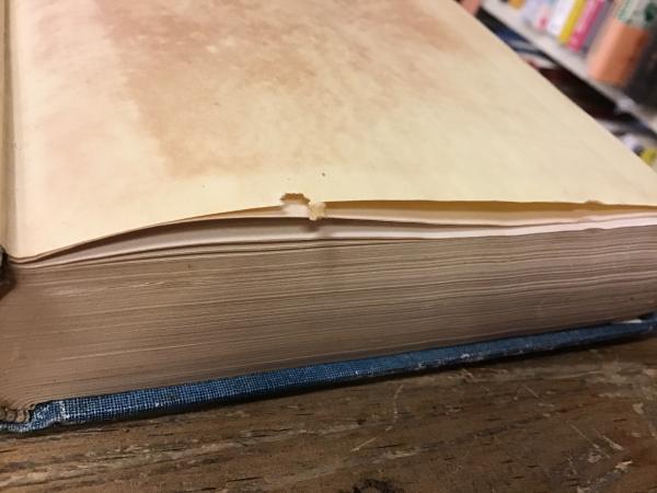 蘆花全集 全20巻揃(徳富蘆花) / 古本、中古本、古書籍の通販は「日本の