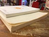 アナキズム　1号（総特集：現代北米アナキズムの二潮流）・12号（特集：表現）　2冊一括　