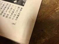 アナキズム　1号（総特集：現代北米アナキズムの二潮流）・12号（特集：表現）　2冊一括　
