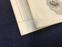 ・『坂東霊場三十三ヶ所納経帳』（1987〜1994年頃　末尾周辺角にシミ）・『西國三十三霊場納経帖』（1986〜1994年頃　角に少シミ）・『秩父三十四観音霊場納経帖』（2006年）　3冊一括　100寺制覇　朱印押印記筆済