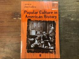 【洋書】Popular Culture in American History（アメリカ史における大衆文化）