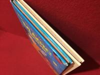 【洋書絵本】The Mickey Mouseシリーズ「MAGIC BOOK」「MAKE-IT BOOK」2冊一括