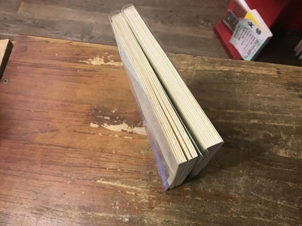 荒川洋治詩集 正（現代詩文庫75）・続（現代詩文庫103） 2冊一括