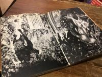 デビルマンレディー　全17巻揃　＜モーニングKC＞