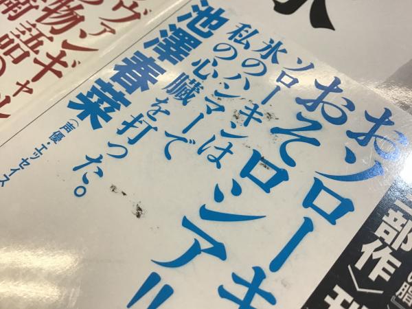 ブロの道〈氷三部作1〉 氷〈氷三部作2〉 2冊一括(ウラジーミル