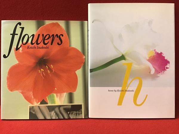 朝日百科 世界の植物 ＜本巻12巻のみ、別冊欠、12冊一括