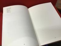 【洋書図録】Richard Artschwager リチャード・アーシュワーガー展図録＠カルティエ財団現代美術館（仏・英併記）