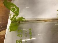 充ち足りた死者たち