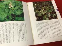山草事典 : 400種の解説と栽培法（正・続2冊一括）