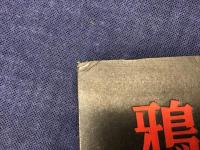 長編小説　鴉