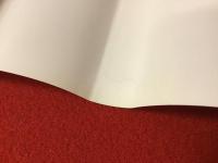 水原紫苑　第一歌集『びあんか［白の女］』、第二歌集『うたうら［歌占］　２冊一括　（『びあんか』に献呈署名箋付）