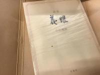 詩集義眼