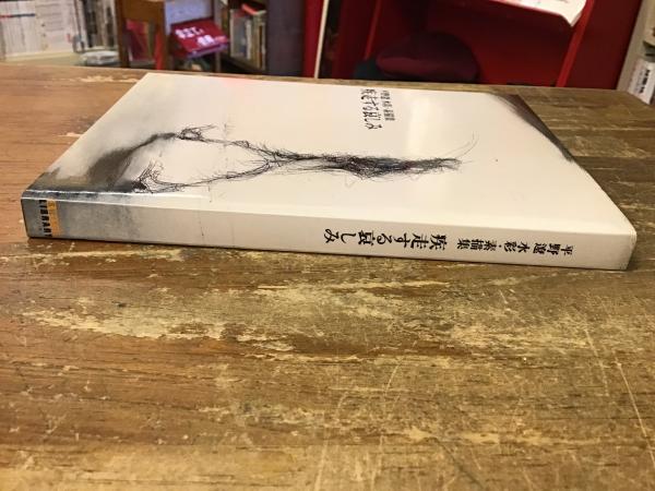 疾走する哀しみ : 平野遼水彩・素描集(平野遼 画 ; 阿部稔哉 疾走する哀しみ : 平野遼水彩・素描集(平野遼 画 ; 阿部稔哉