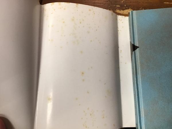 グラモフォン・フィルム・タイプライター(フリードリヒ・キットラー 著 ; 石光泰夫, 石光輝子 訳) / 古書 往来座 / 古本、中古本、古書籍の通販は「日本の古本屋」 / 日本の古本屋 グラモフォン・フィルム・タイプライター(フリードリヒ・キットラー 著 ; 石光泰夫, 石光輝子 訳) / 古書 往来座 / 古本、中古本、古書籍の通販は「日本の古本屋」 / 日本の古本屋