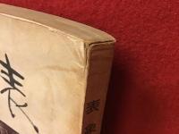 【雑誌】『季刊 表象』創刊号・第二集２冊一括