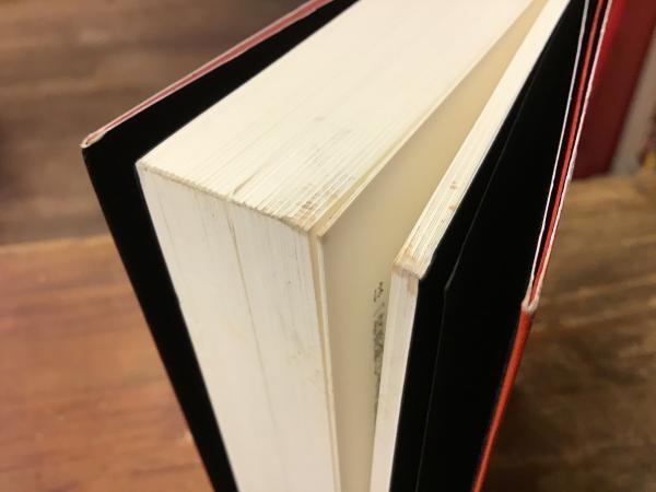 絶望する勇気 : グローバル資本主義・原理主義・ポピュリズム