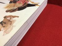 【図録】若冲 : 没後200年 : 特別展覧会