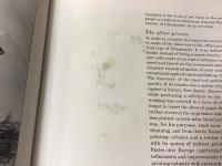 Lithography: 200 Years of Art, History and Technique　（石版：200 年の歴史と技術）