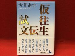 仮往生伝試文