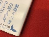 仮往生伝試文
