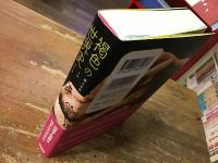 褐色の世界史 : 第三世界とはなにか