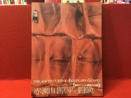 図録　赤瀬川原平の冒険　脳内リゾート開発大作戦