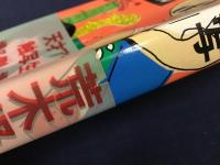 ラブホテルで楽写