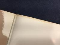 私小説