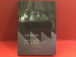 高木修展 : 特異な空間へ