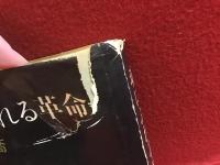 魂にふれる革命