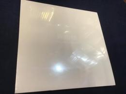 陈劭雄（陳紹雄） CHEN SHAOXIONG　 2009？ BOERS-LI GALLERY　シュリンクパック未開封