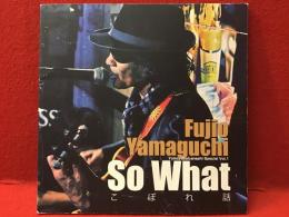 【薄冊子】『SO WHAT こぼれ話　山口冨士夫とよもヤバ話　番外編 Vol.1』