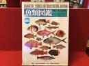魚類図鑑 : 南日本の沿岸魚 改訂版.
