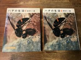 ハチの生活