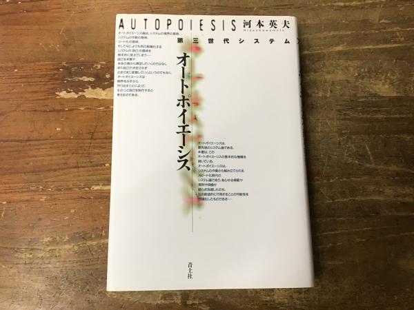 古書・昭和13年初版】小説 キリスト 賀川豊彦 著（K_0994）｜本