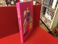ニキ・ド・サンファル展