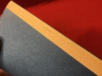 【冊子】銀河画報第弐號別冊特別付録巻末大懸賞付（「山猫詩」鳥越九郎、「紅い玉　流星篇」黒白児）