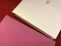 沼・ふたりの女