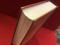 【英文ハードカバー】　THE RENAISSANCE　STUDIES IN ART AND POETRY（ルネッサンス 美術と詩の研究）