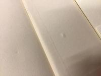 複数にして単数の存在