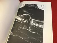 草原　田中島進作品集　（棲息闇叢書第1号）限定300部