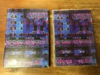 【DVD】　或る音楽　　（2008年高木正勝コンサート「タイ・レイ・タイ・リオ」を軸に制作されたドキュメンタリー）