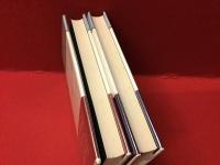 アーダ　上・下　2冊